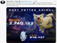 《幽灵线东京》狗狗被摸了276万次 引猫猫黑客不满