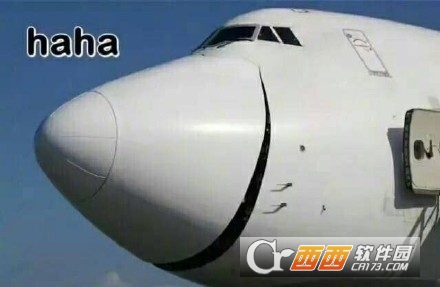哈哈哈哈哈表情包飞机图片
